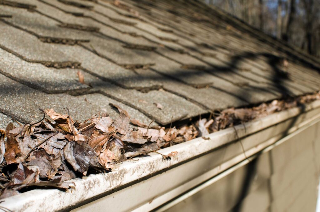 Fall roof cleaning tips for Steven's Point