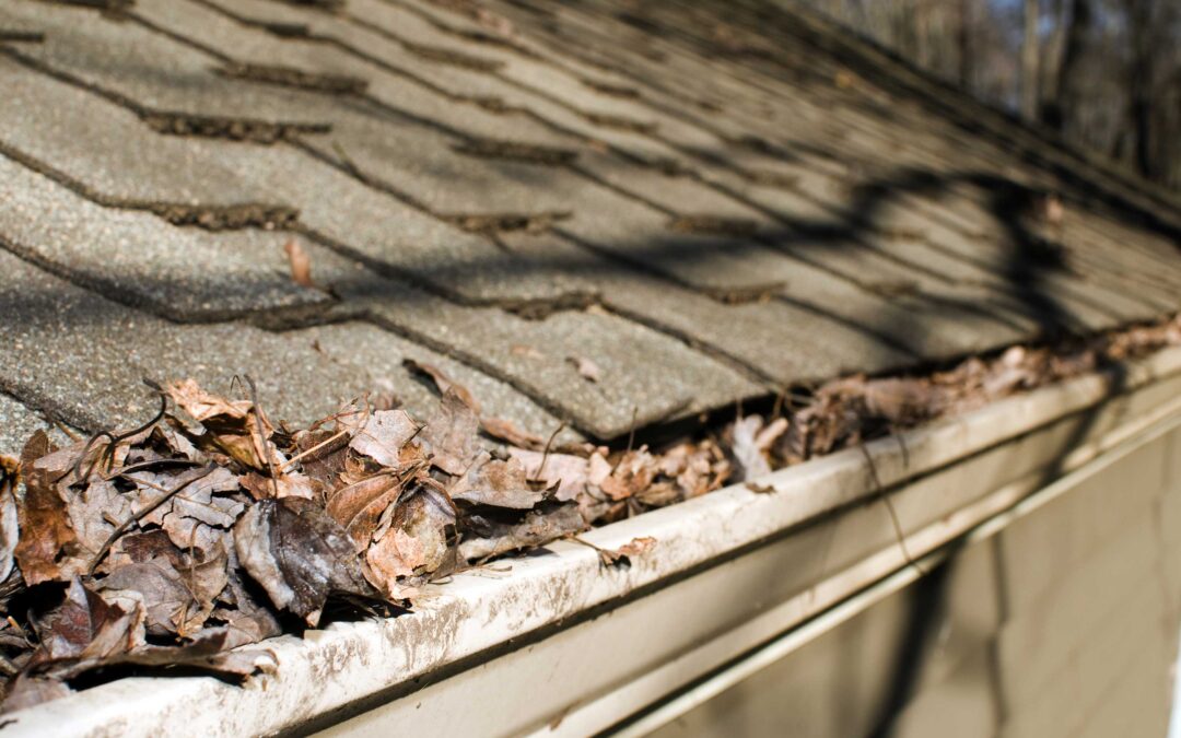 Seasonal Roof Cleaning Tips for Fall in Steven’s Point