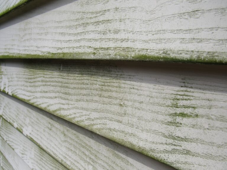 Close up of mold and mildew on house siding
