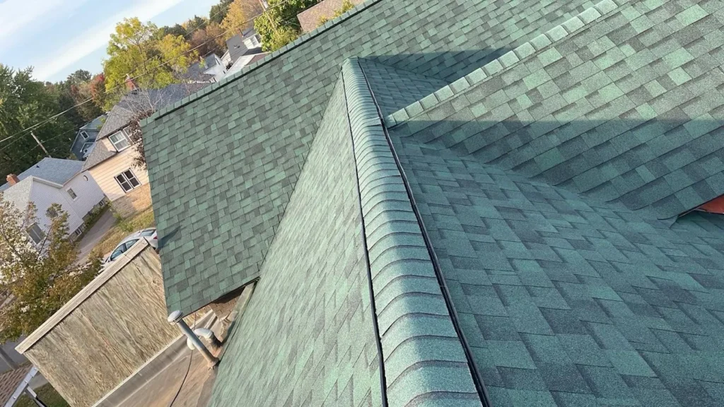 Close-up of shingles