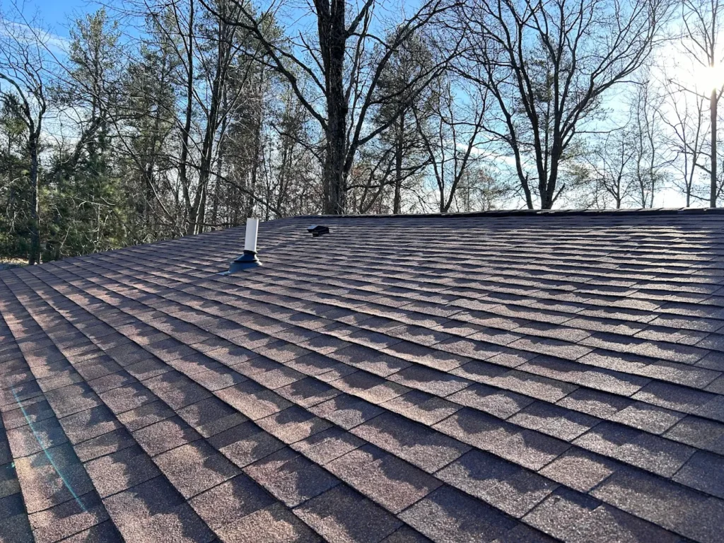 Shingles on a roof